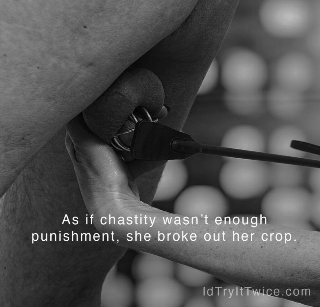 crop, chastity, cbt, pain, femdom